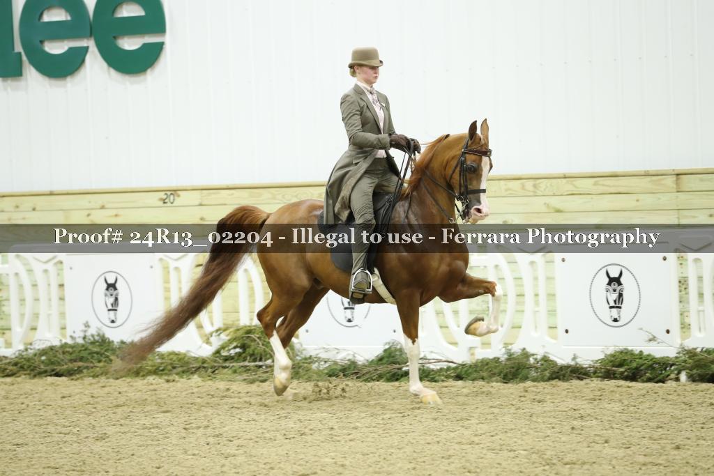 Proof 24R13_02204