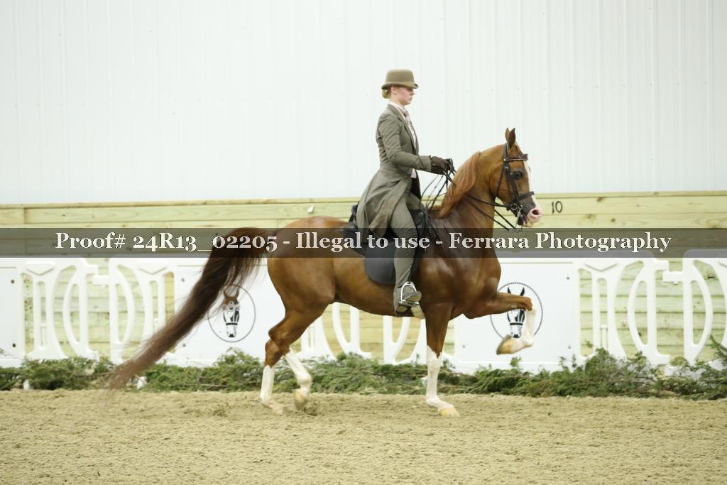 Proof 24R13_02205