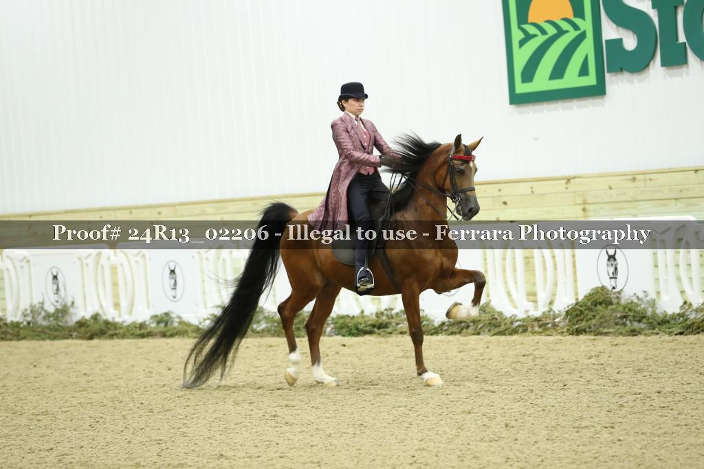 Proof 24R13_02206
