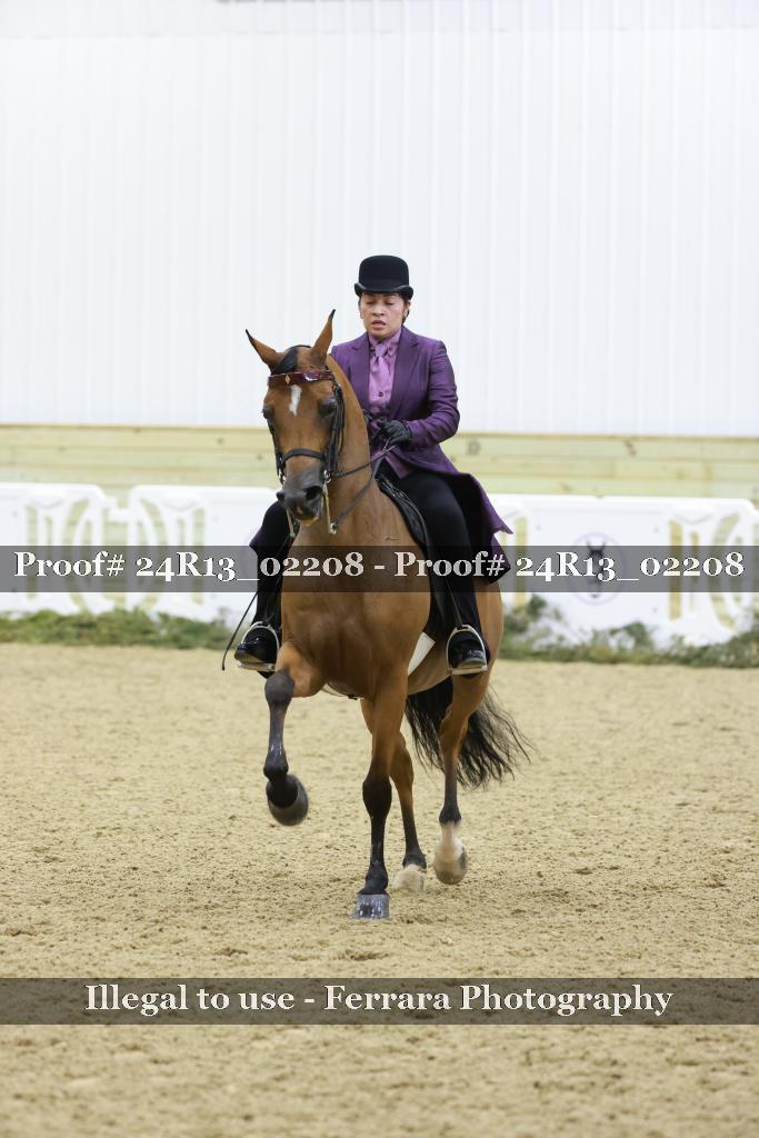 Proof 24R13_02208