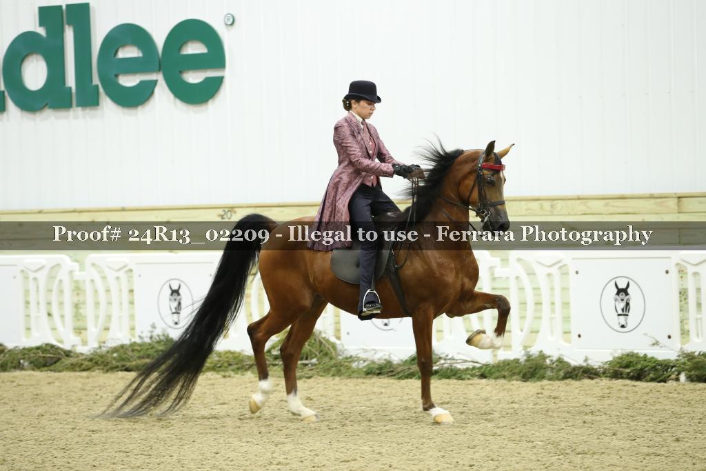 Proof 24R13_02209