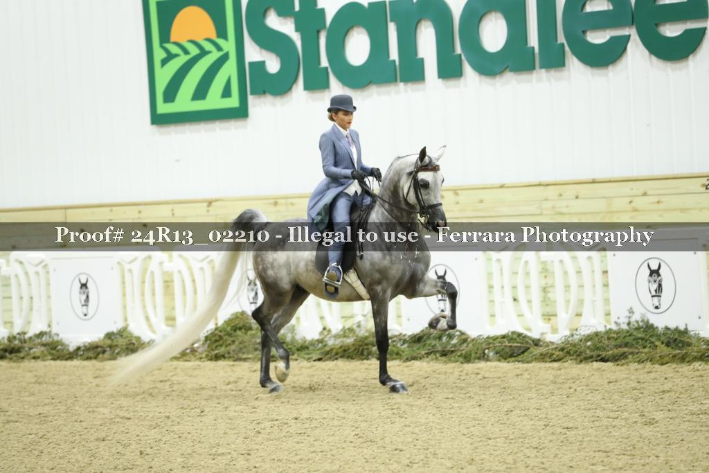 Proof 24R13_02210