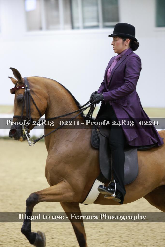 Proof 24R13_02211