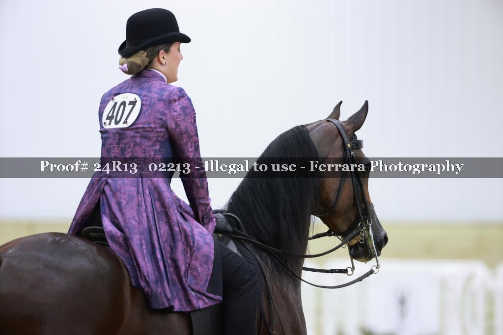 Proof 24R13_02213