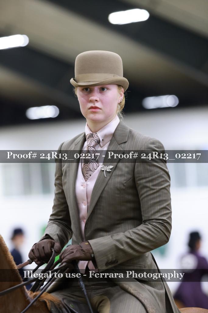 Proof 24R13_02217