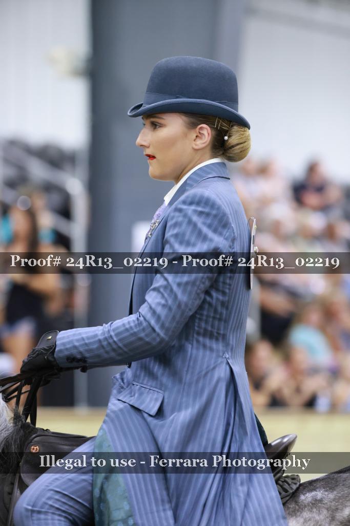 Proof 24R13_02219