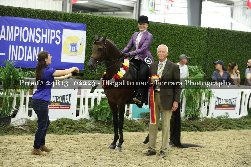 Proof 24R13_02223