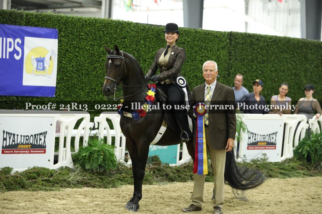 Proof 24R13_02227