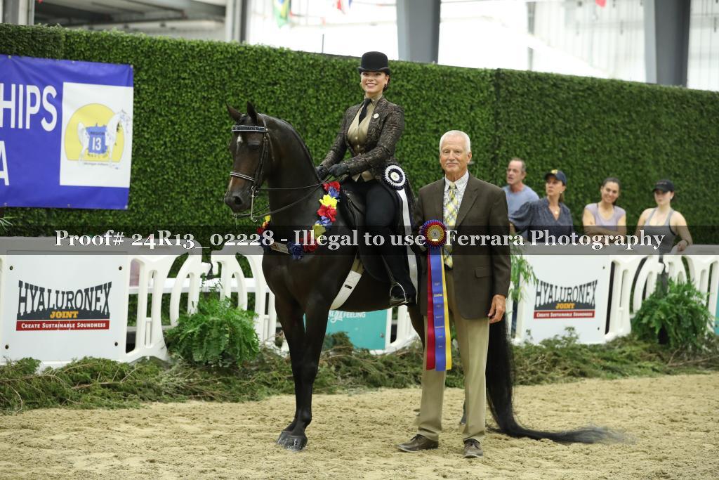 Proof 24R13_02228