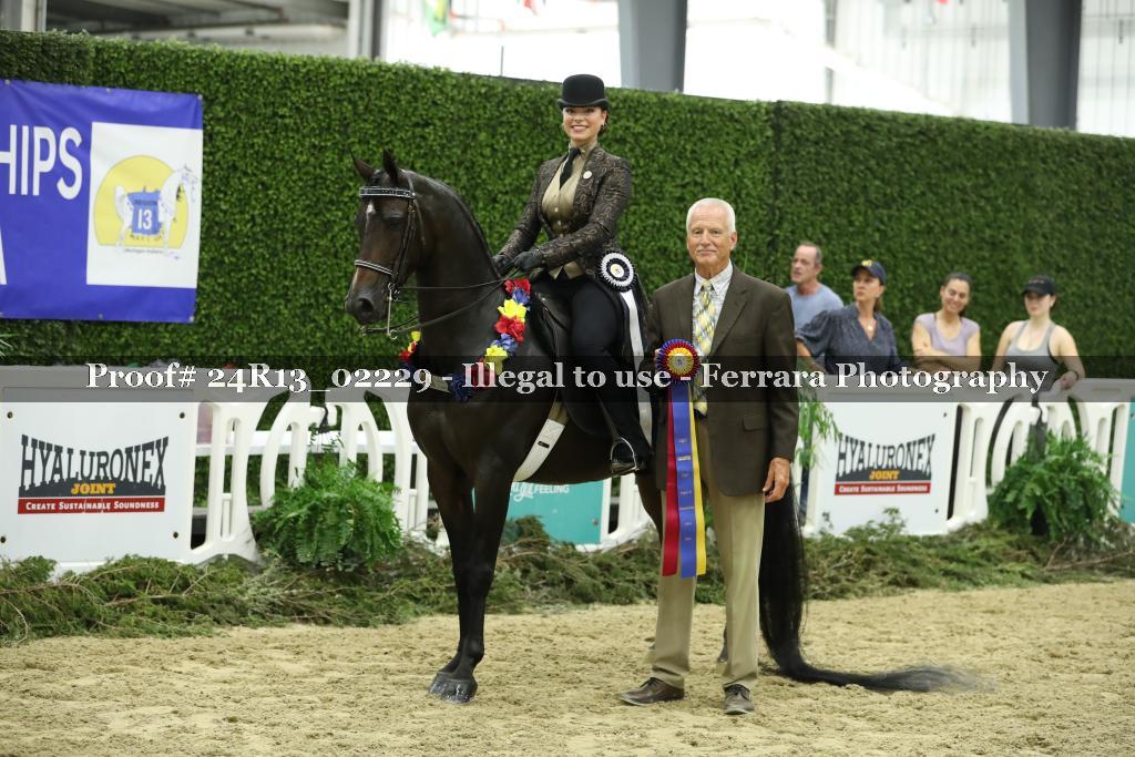 Proof 24R13_02229
