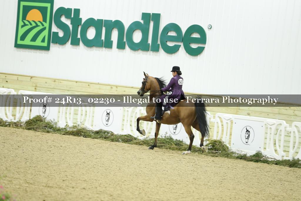 Proof 24R13_02230