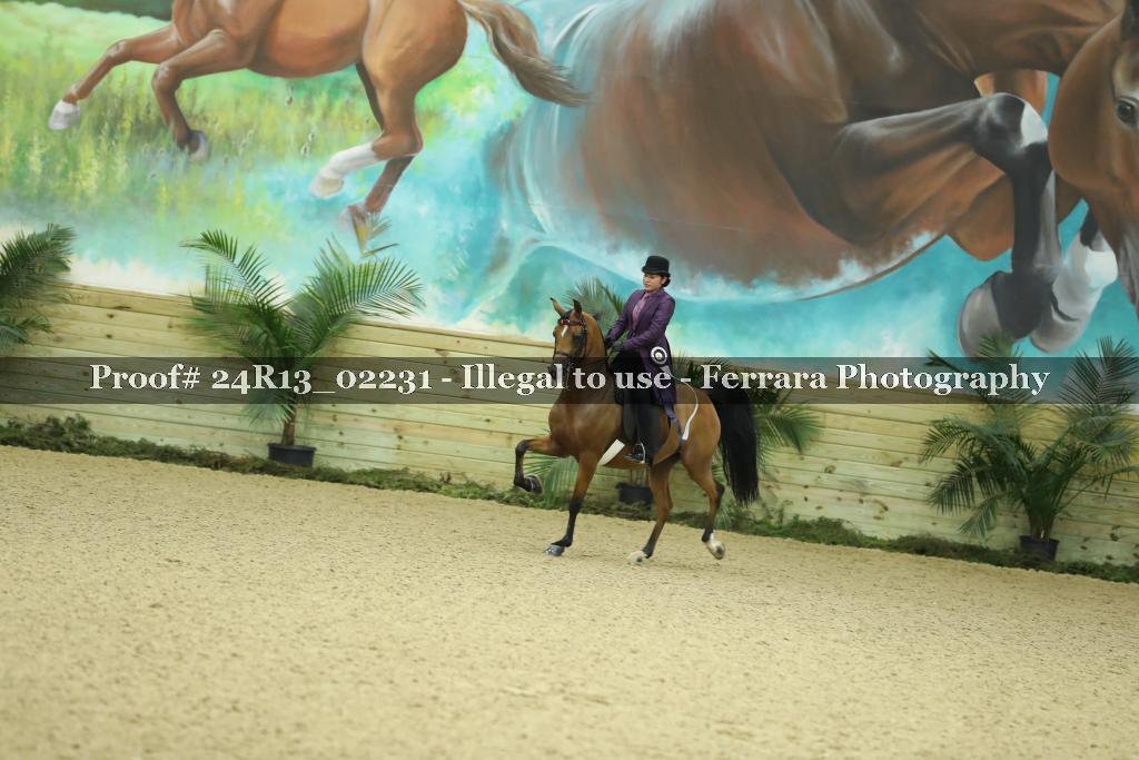 Proof 24R13_02231