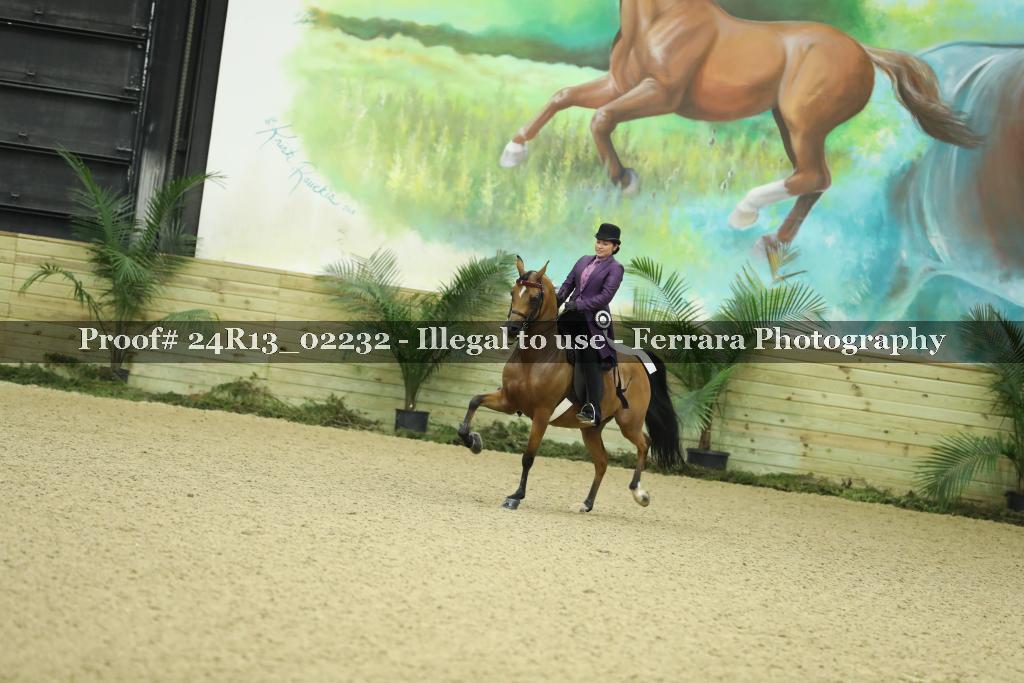 Proof 24R13_02232