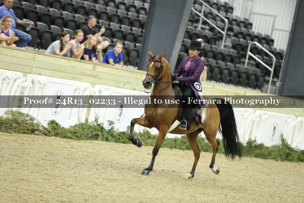 Proof 24R13_02233
