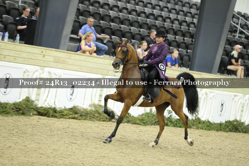 Proof 24R13_02234