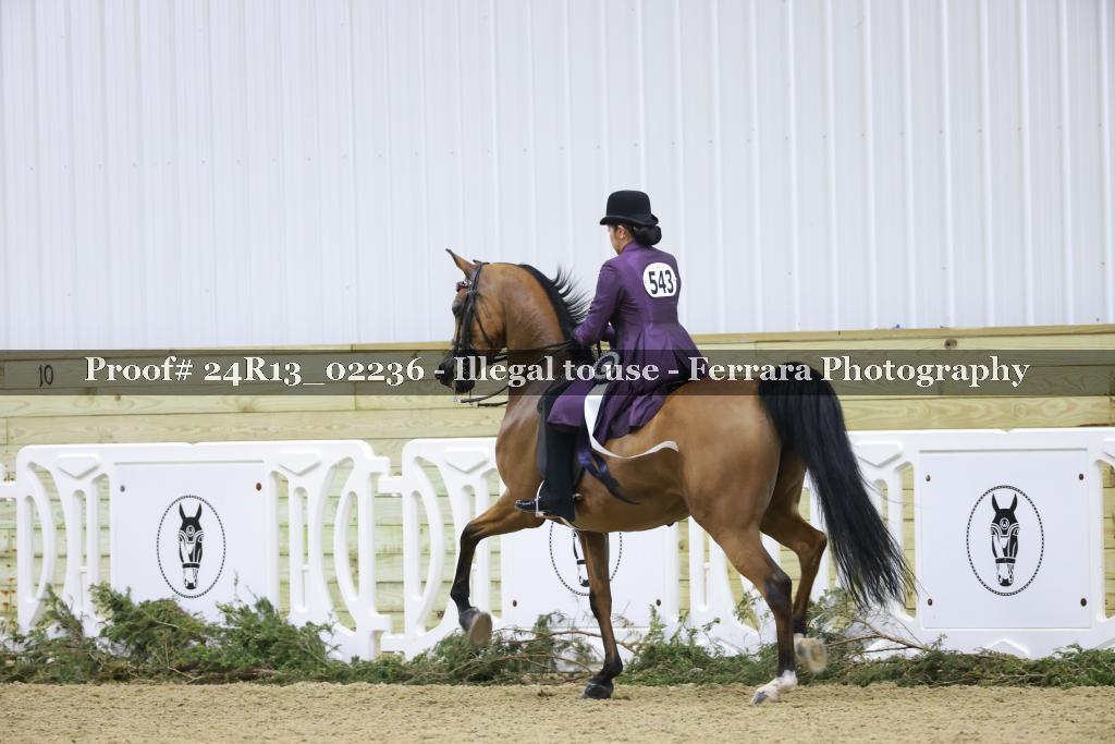 Proof 24R13_02236