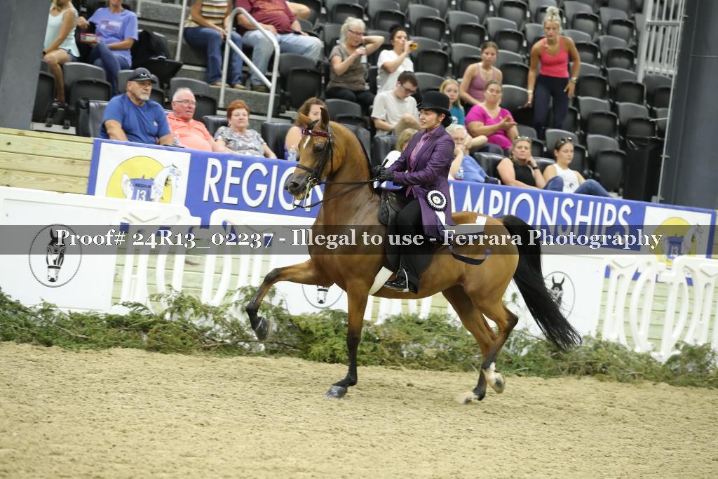 Proof 24R13_02237