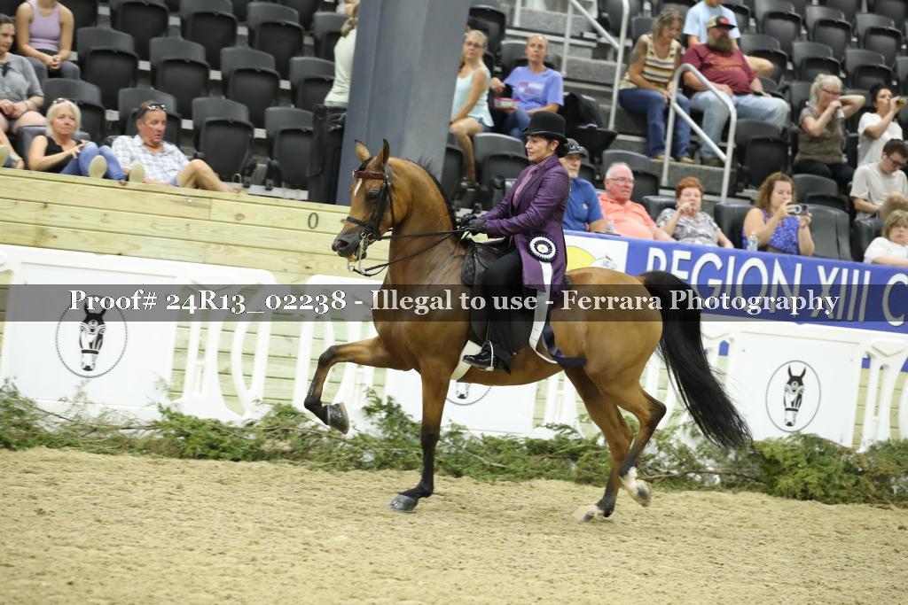 Proof 24R13_02238