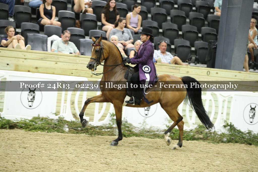 Proof 24R13_02239