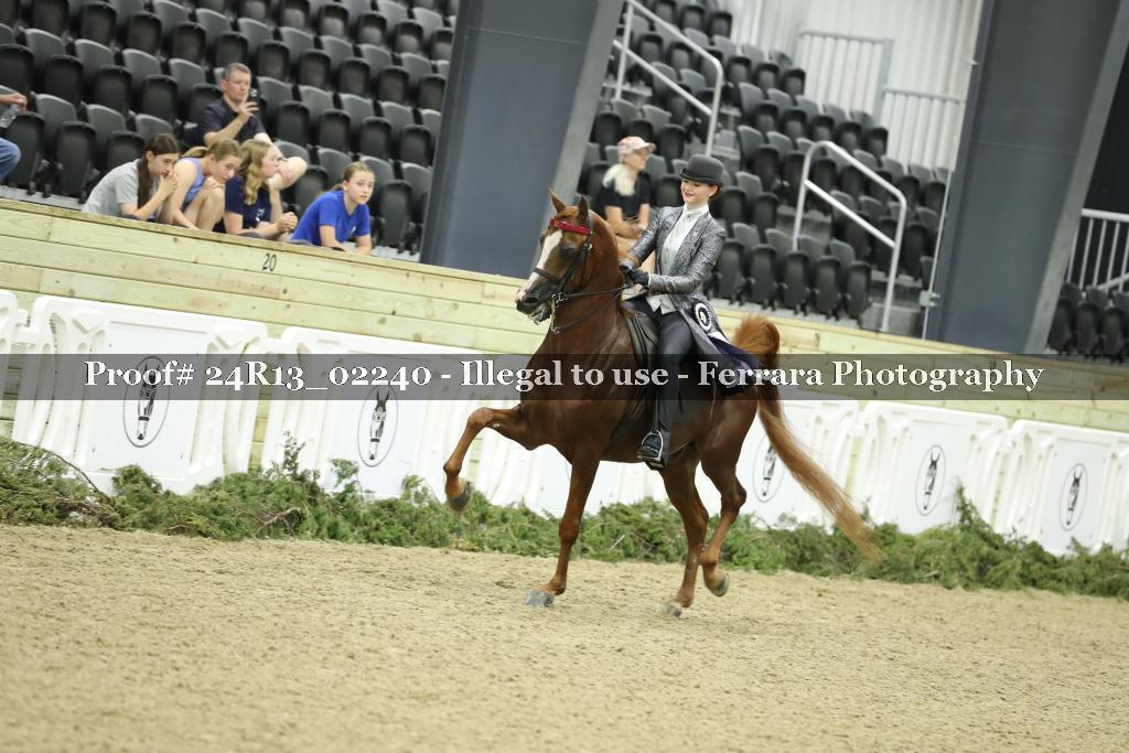 Proof 24R13_02240