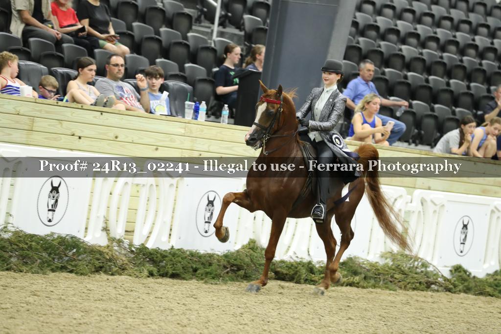 Proof 24R13_02241