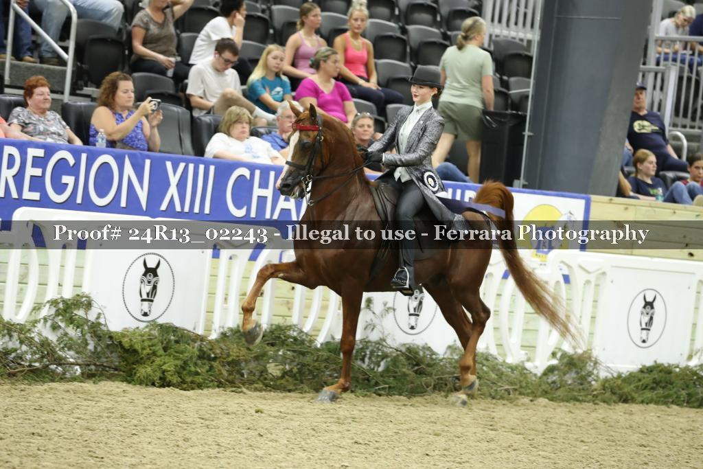 Proof 24R13_02243