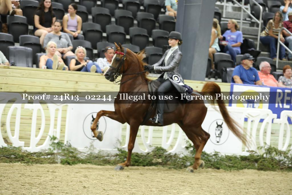 Proof 24R13_02244
