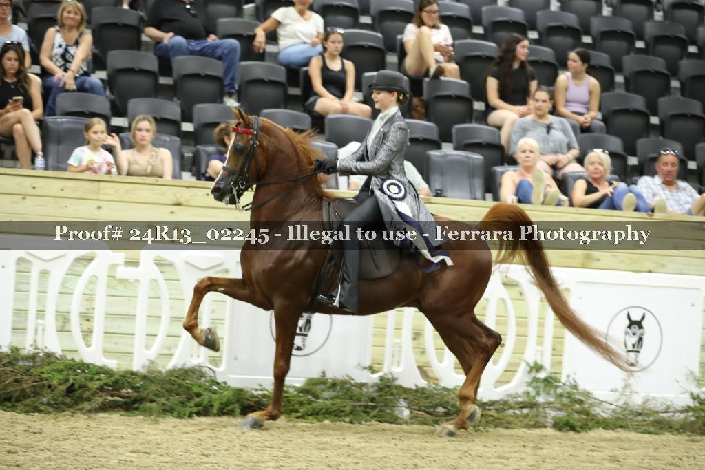 Proof 24R13_02245