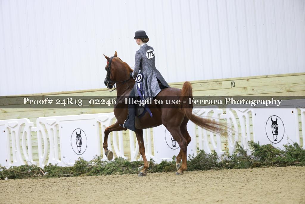 Proof 24R13_02246