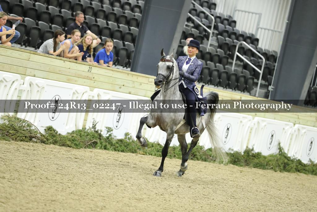 Proof 24R13_02247