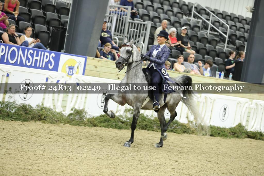 Proof 24R13_02249