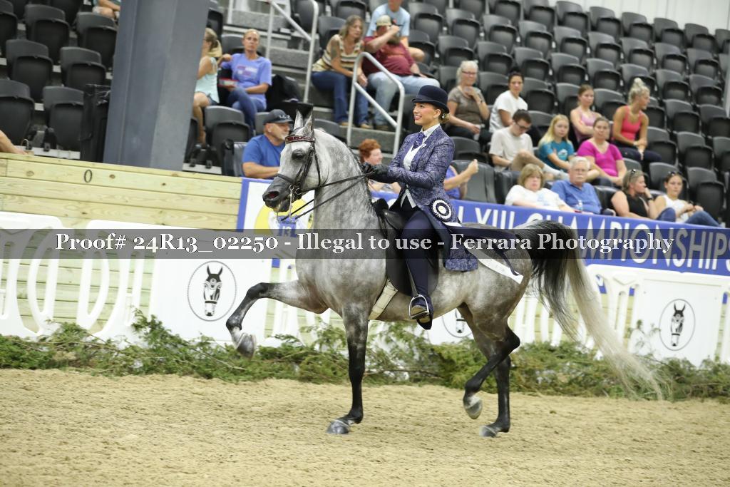 Proof 24R13_02250