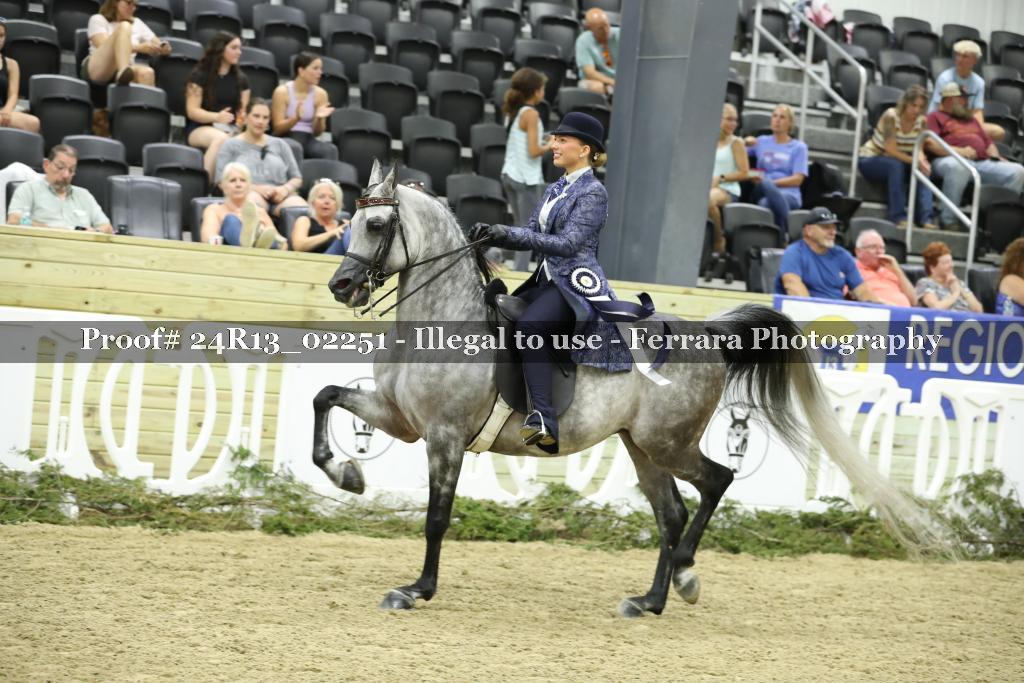 Proof 24R13_02251