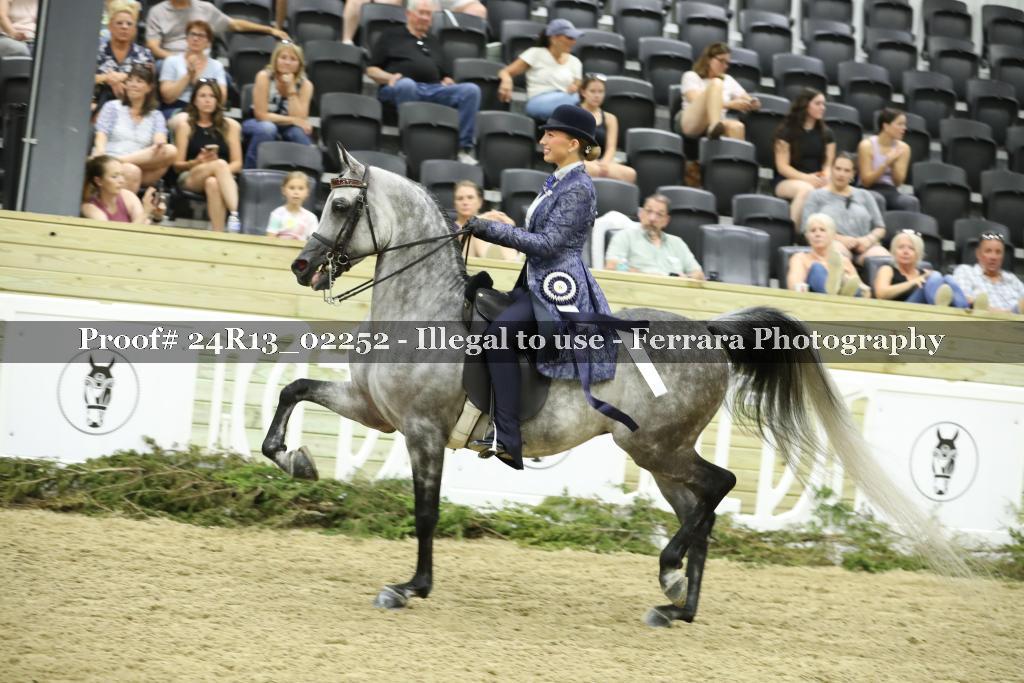 Proof 24R13_02252