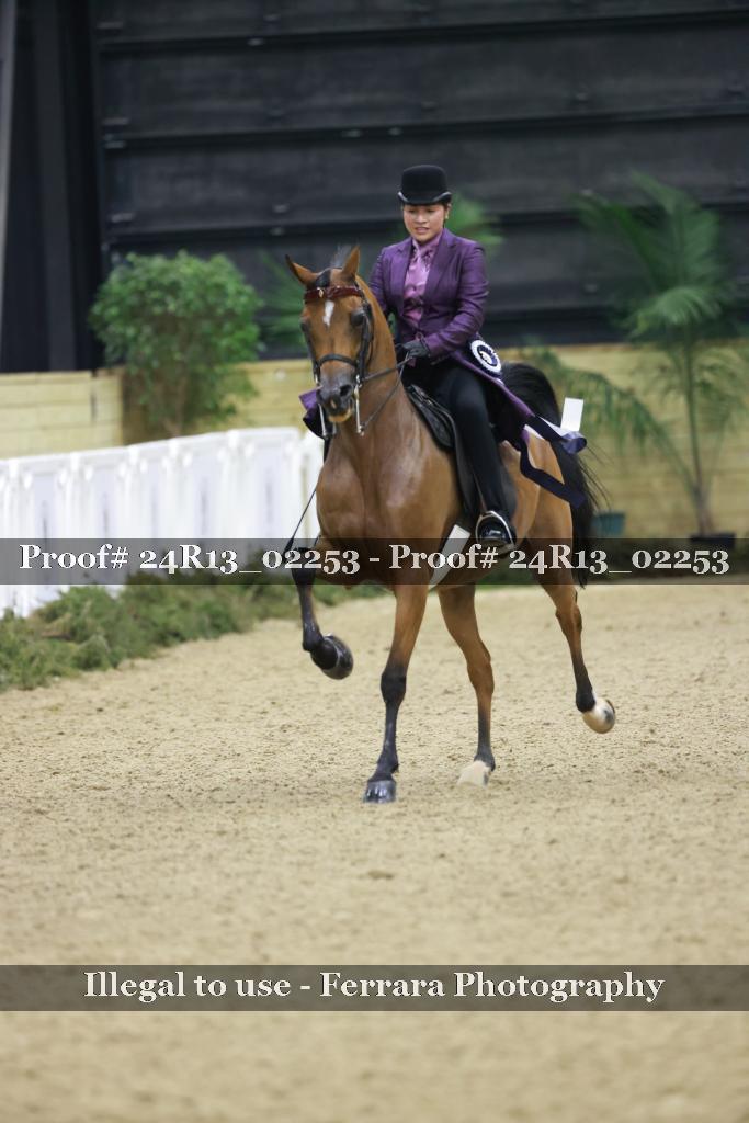 Proof 24R13_02253