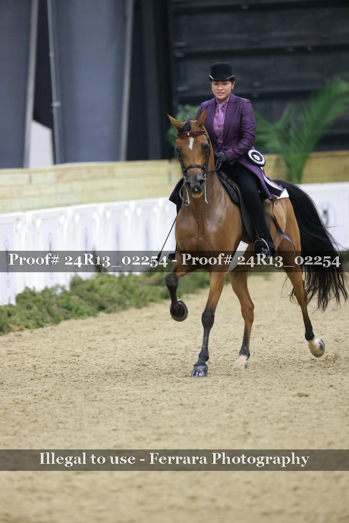 Proof 24R13_02254