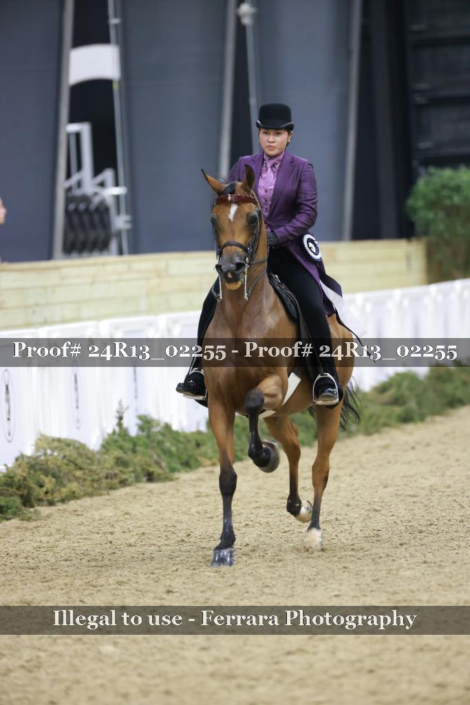 Proof 24R13_02255