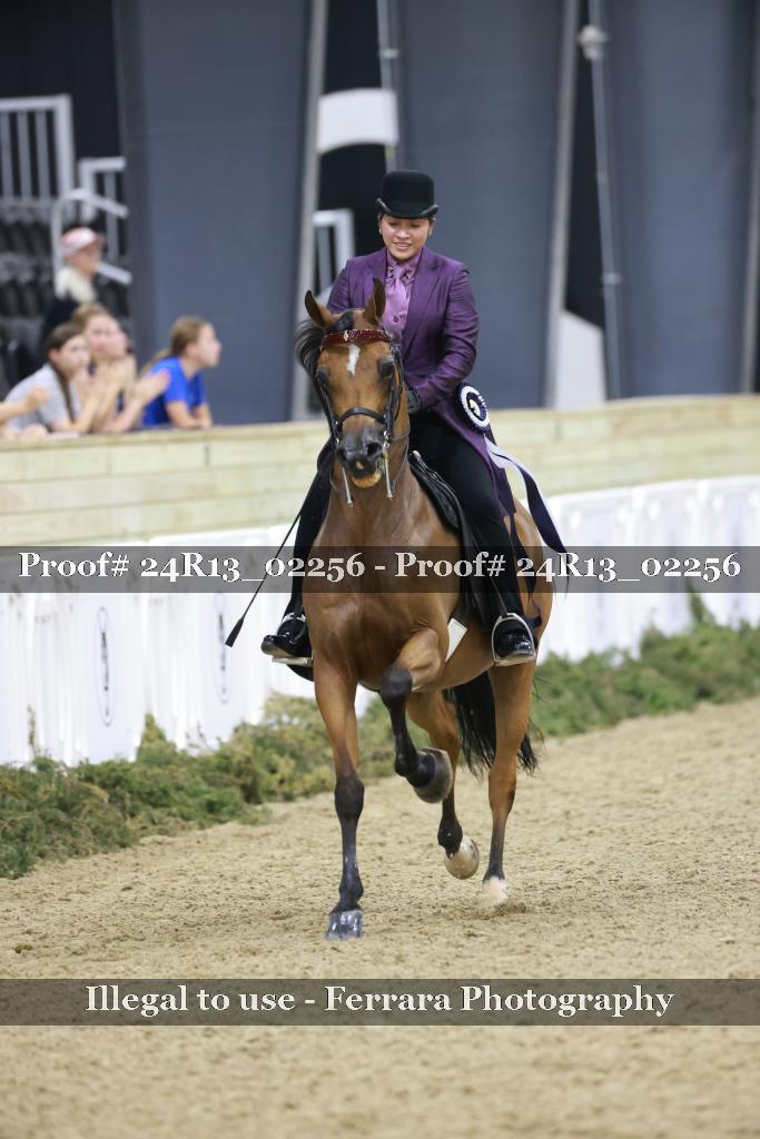 Proof 24R13_02256