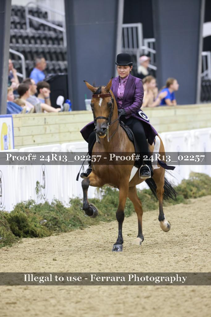 Proof 24R13_02257