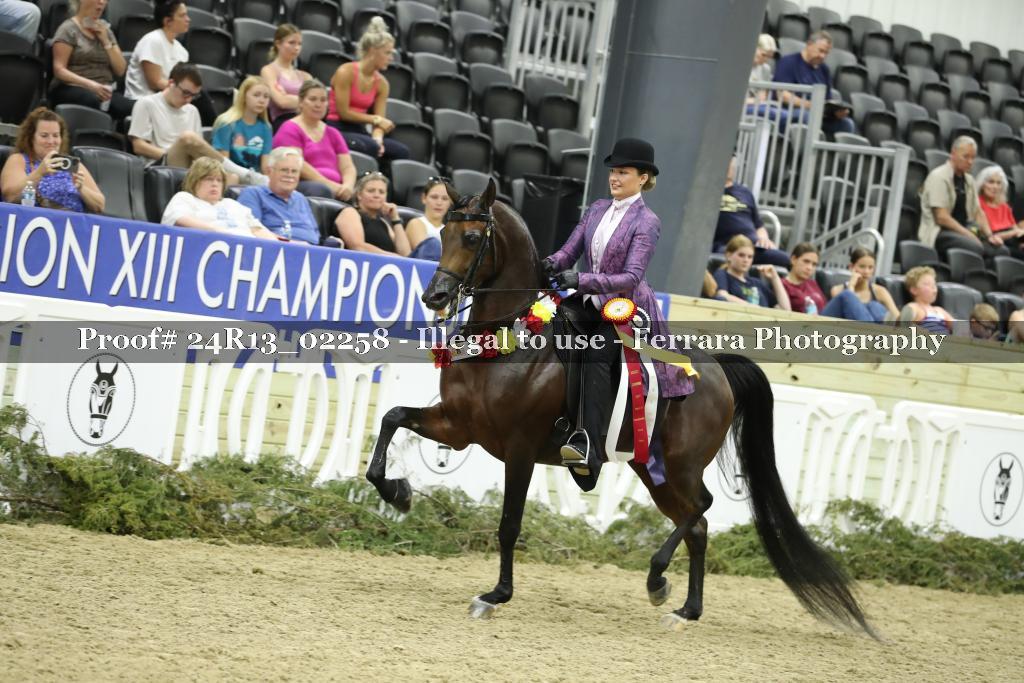Proof 24R13_02258
