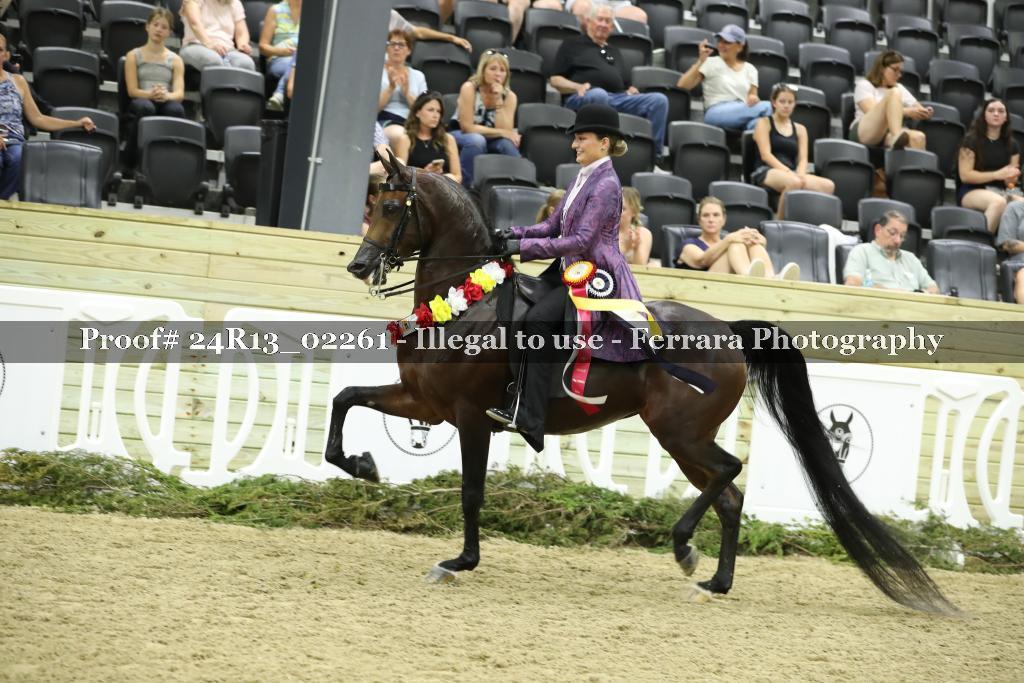 Proof 24R13_02261