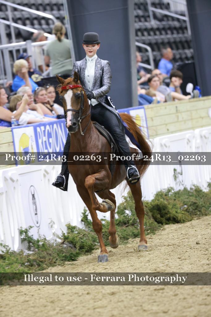 Proof 24R13_02263