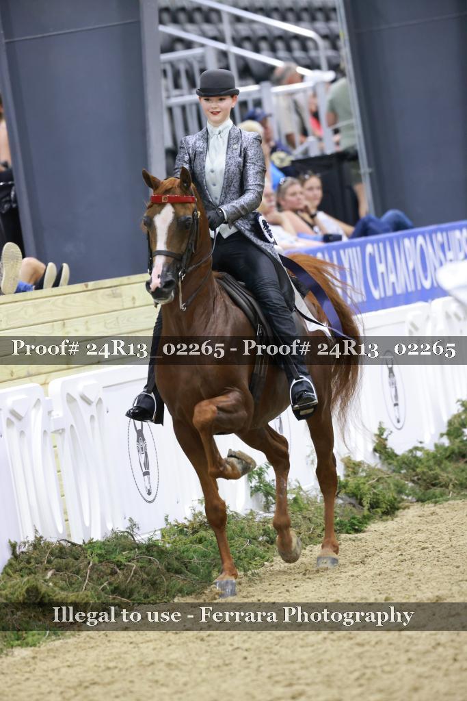 Proof 24R13_02265