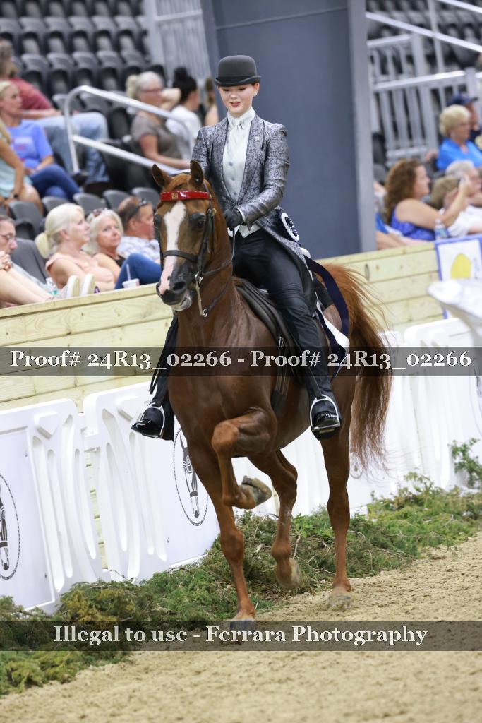 Proof 24R13_02266