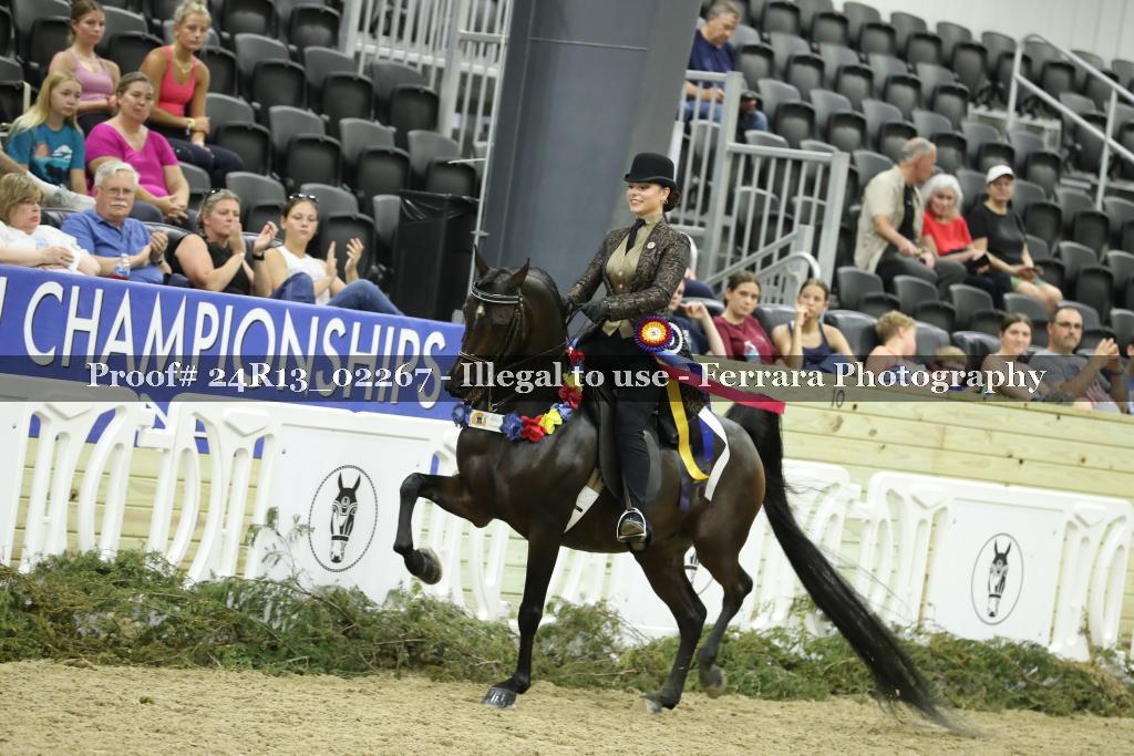 Proof 24R13_02267