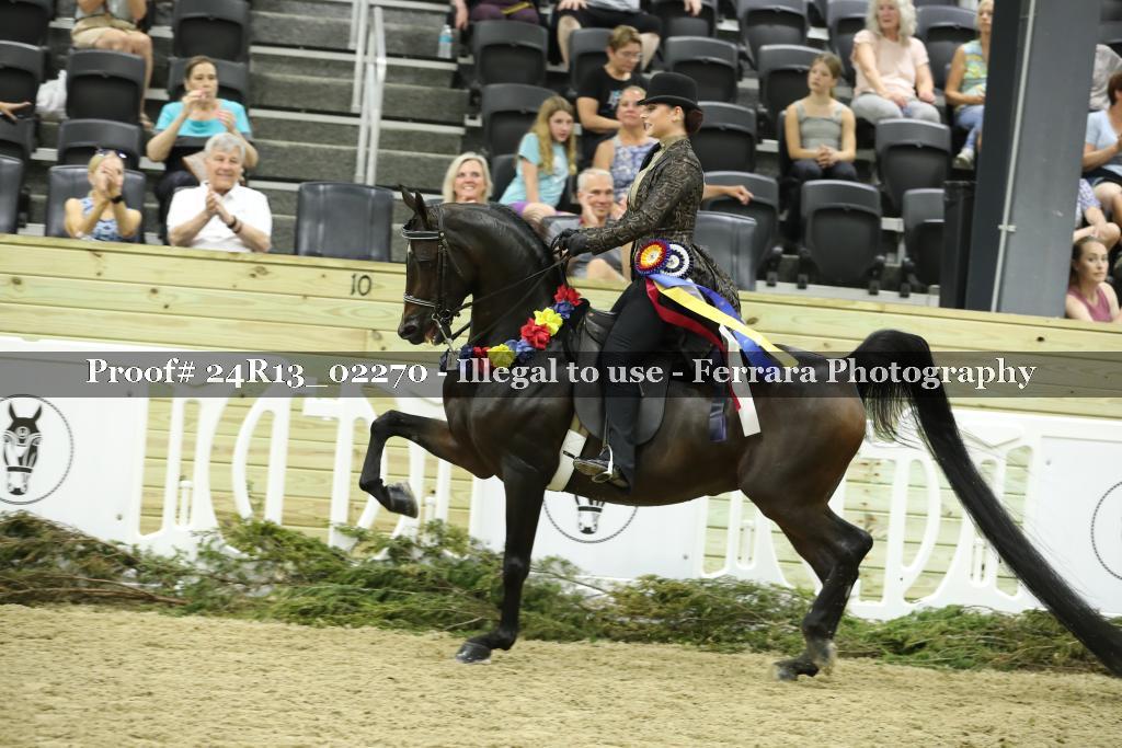 Proof 24R13_02270