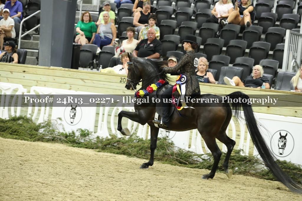 Proof 24R13_02271