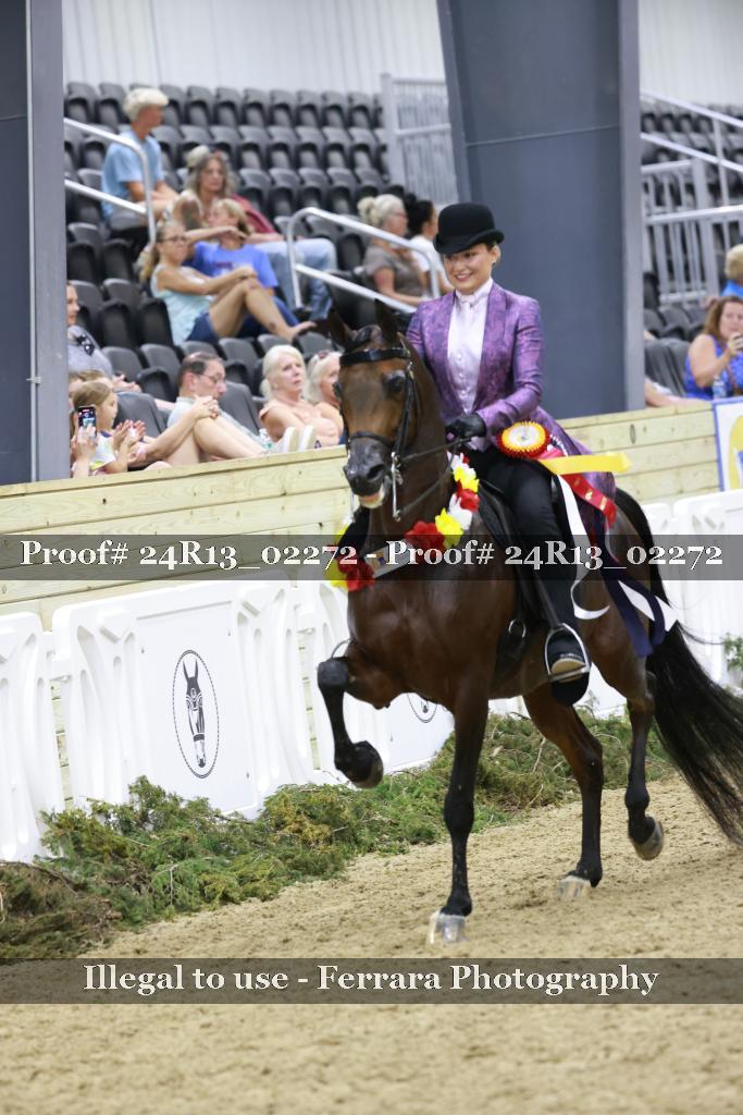 Proof 24R13_02272
