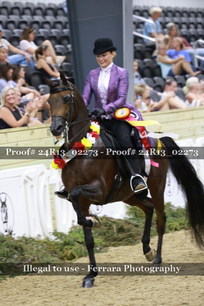 Proof 24R13_02273
