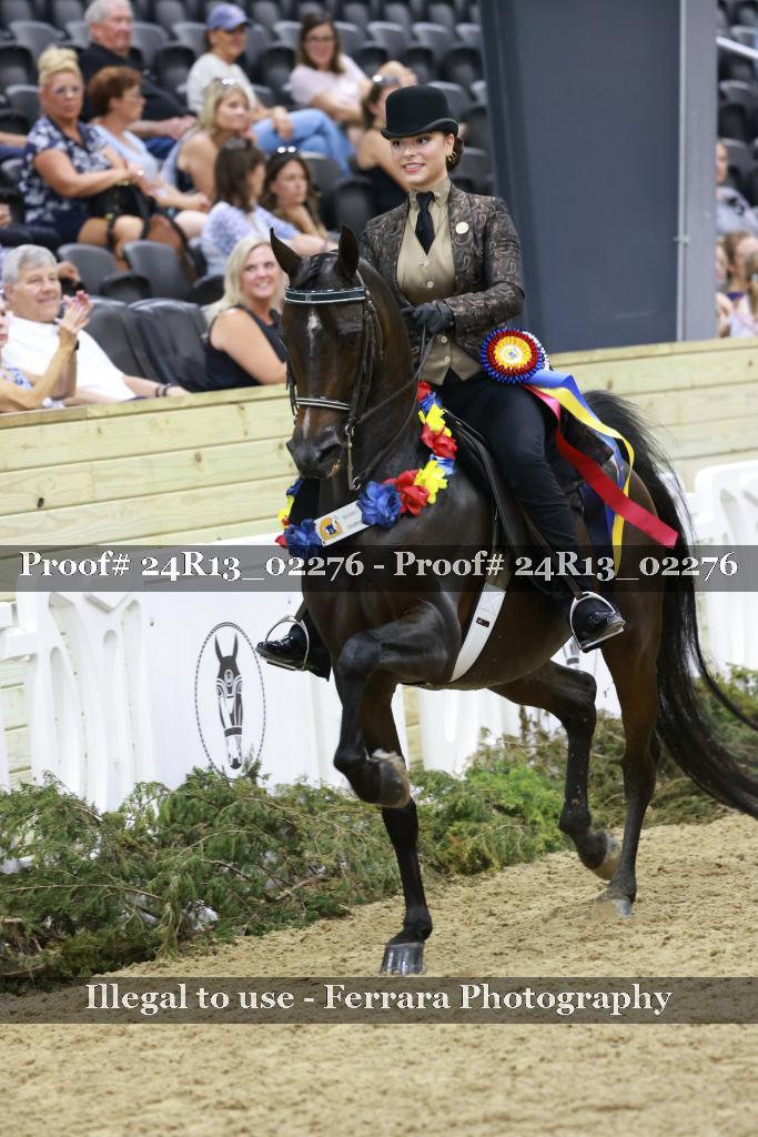 Proof 24R13_02276